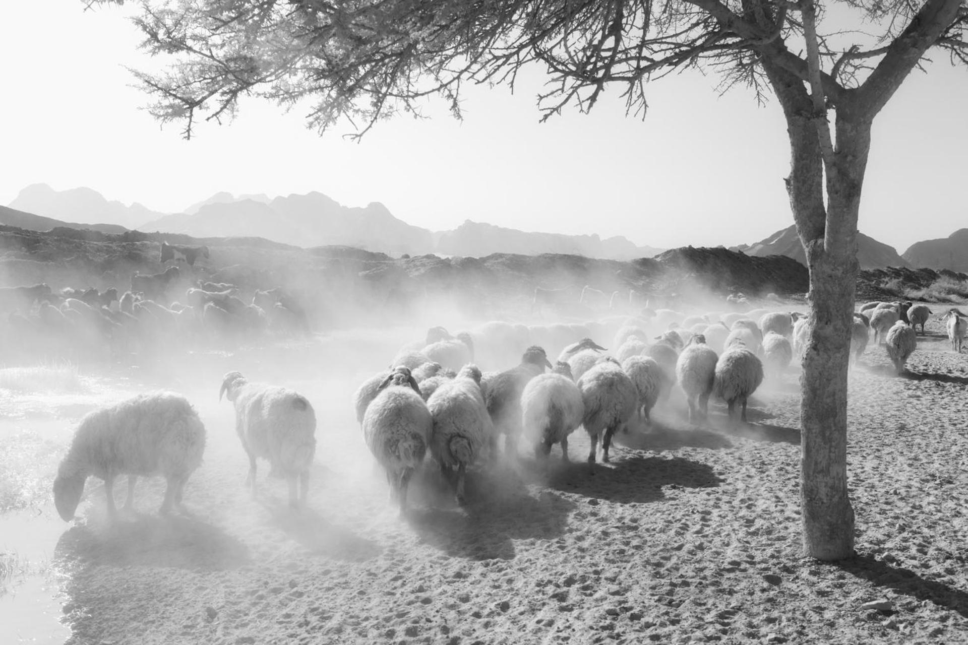 Wadi Rum Camp & Jeep Tour Exterior photo