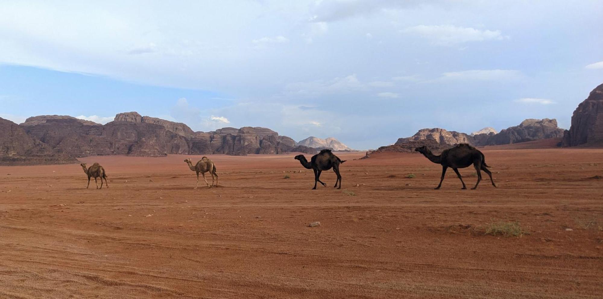 Wadi Rum Camp & Jeep Tour Exterior photo